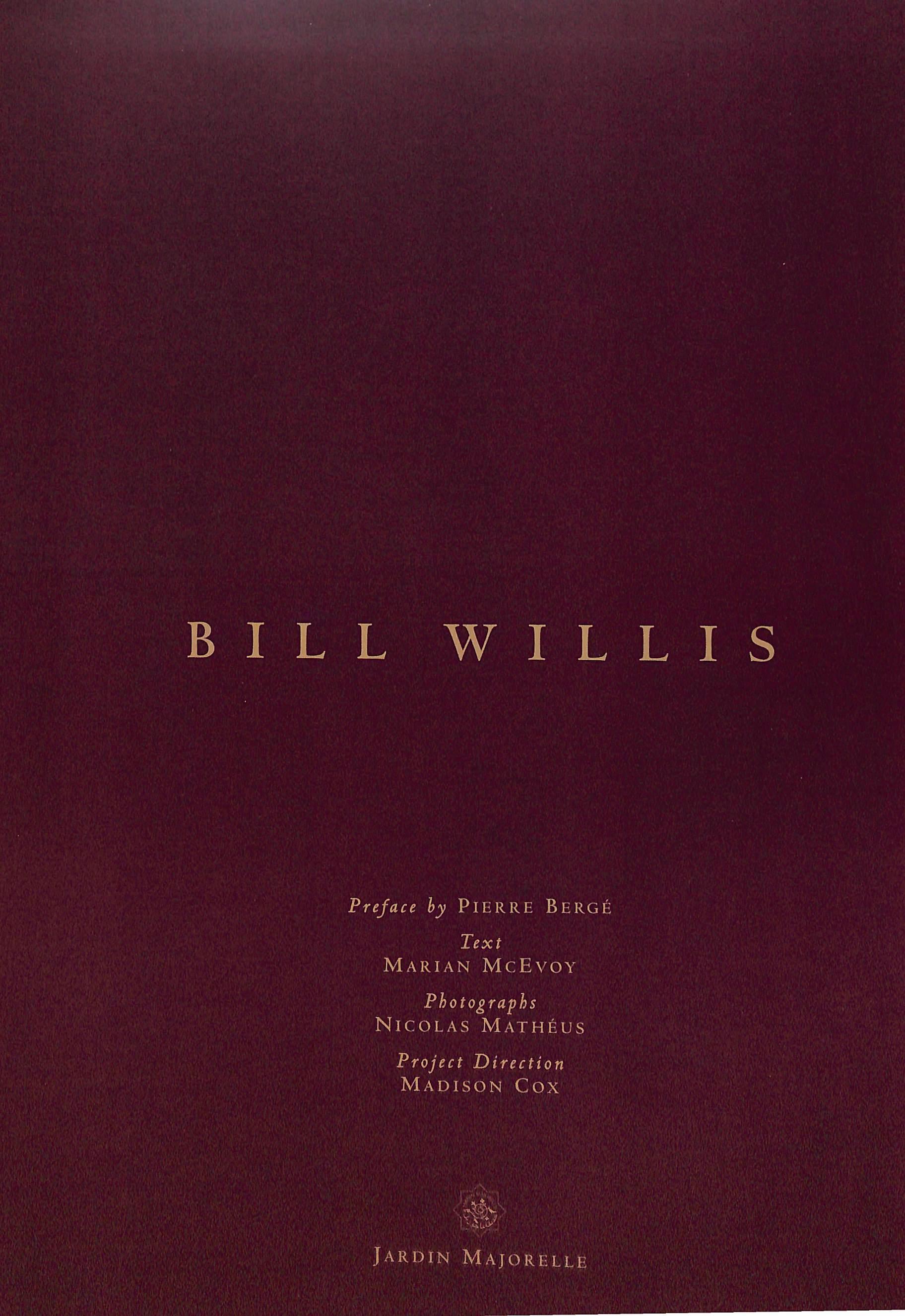 Bill Willis Designing The Private World Of Marrakech 2011 MCEVOY, Marian [texte] en vente 11