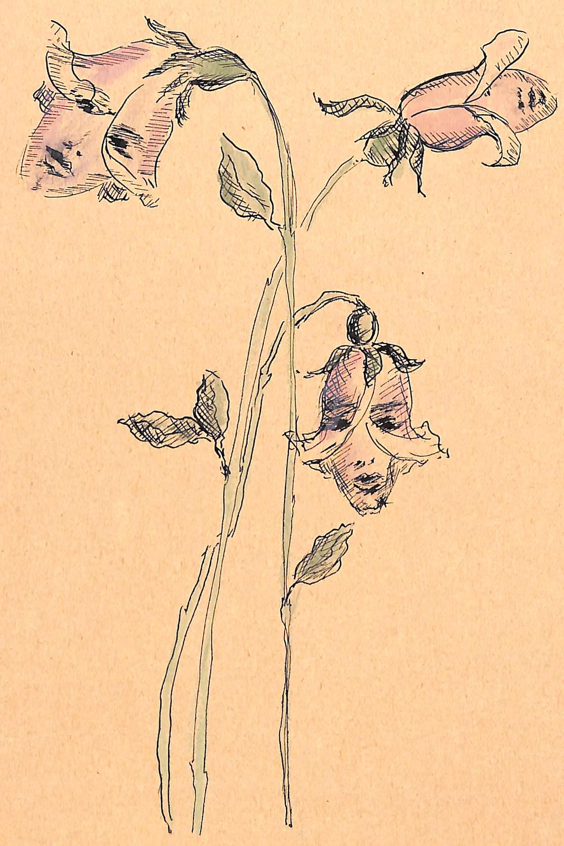Lanvin Paris Lady Flower Buds c1950s Advertising Artwork For Sale 1