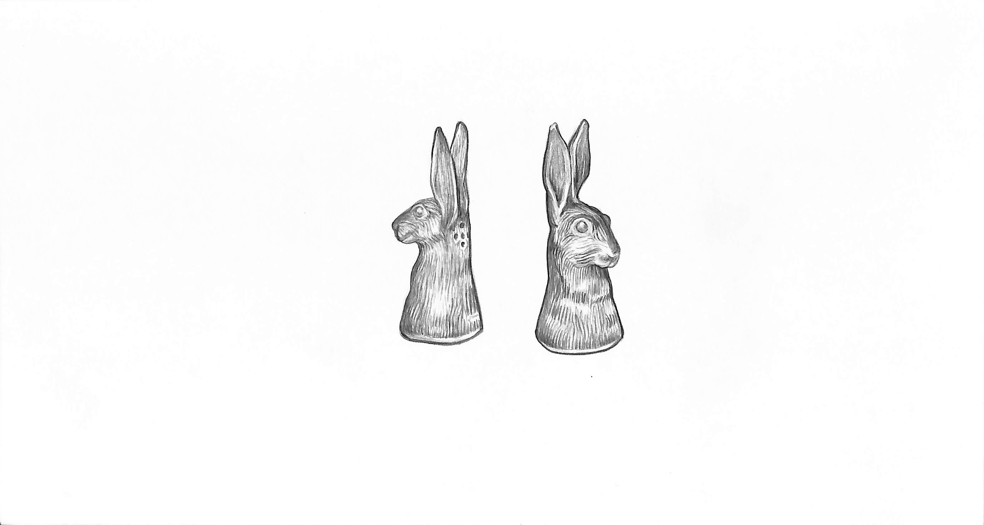 Hare Pepper & Salts Graphite Drawing - Art by Unknown