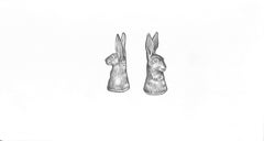 Drawing Hare Pepper & Salts Graphite