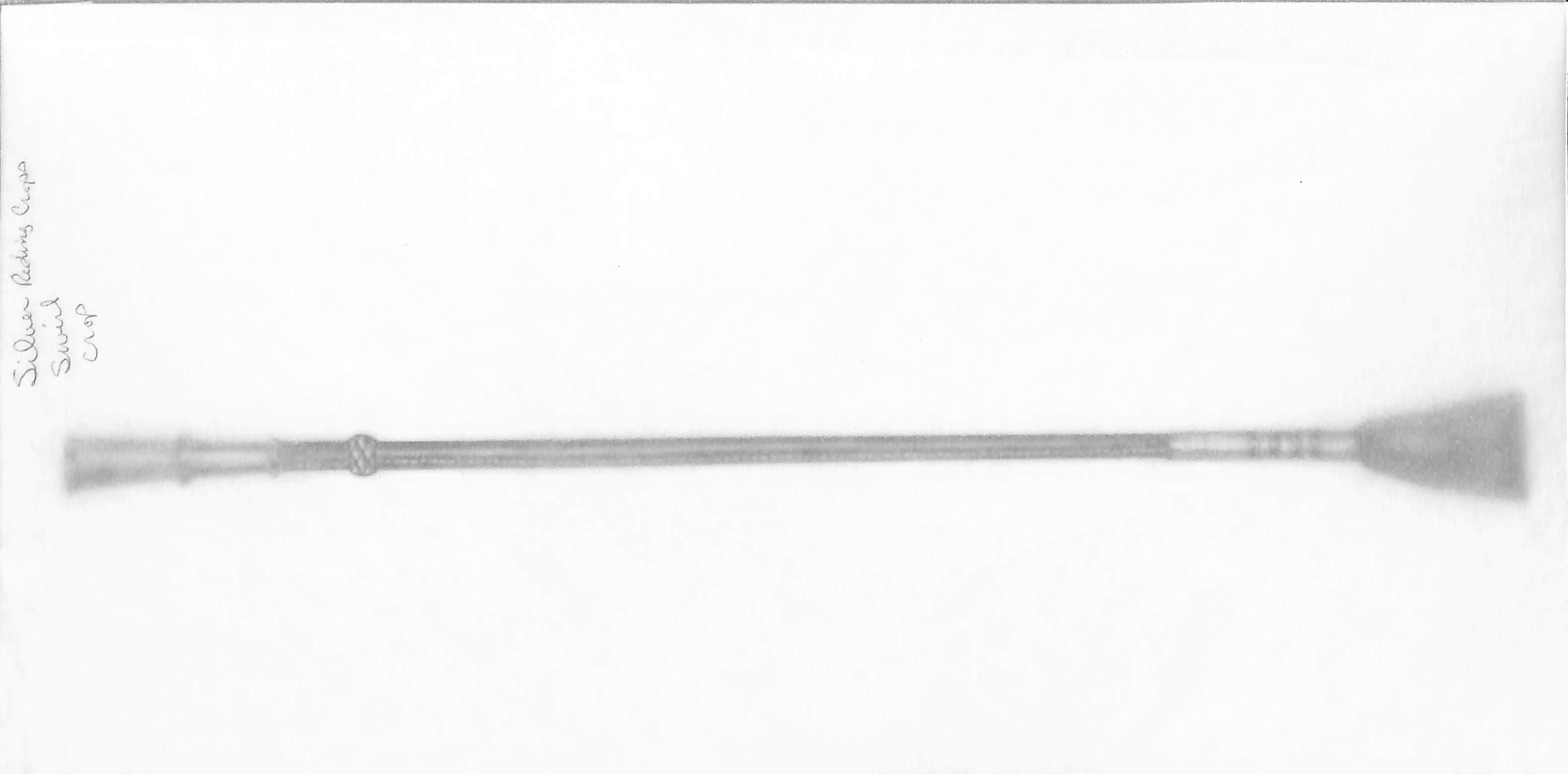 Silver Swirl Riding Crop Graphite Drawing - Art by Unknown