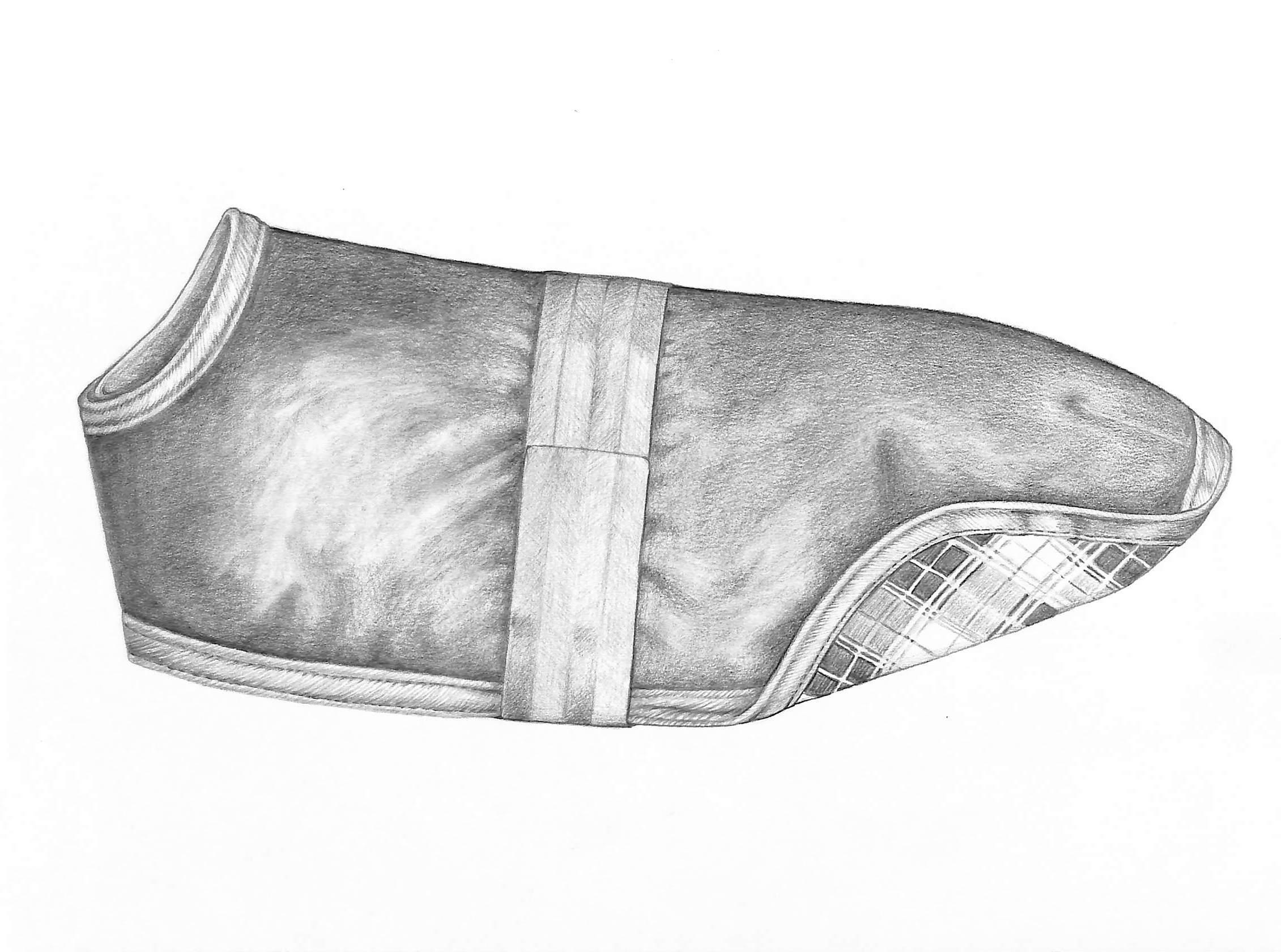 Disegno in grafite di una coperta per cavalli - Art di Unknown