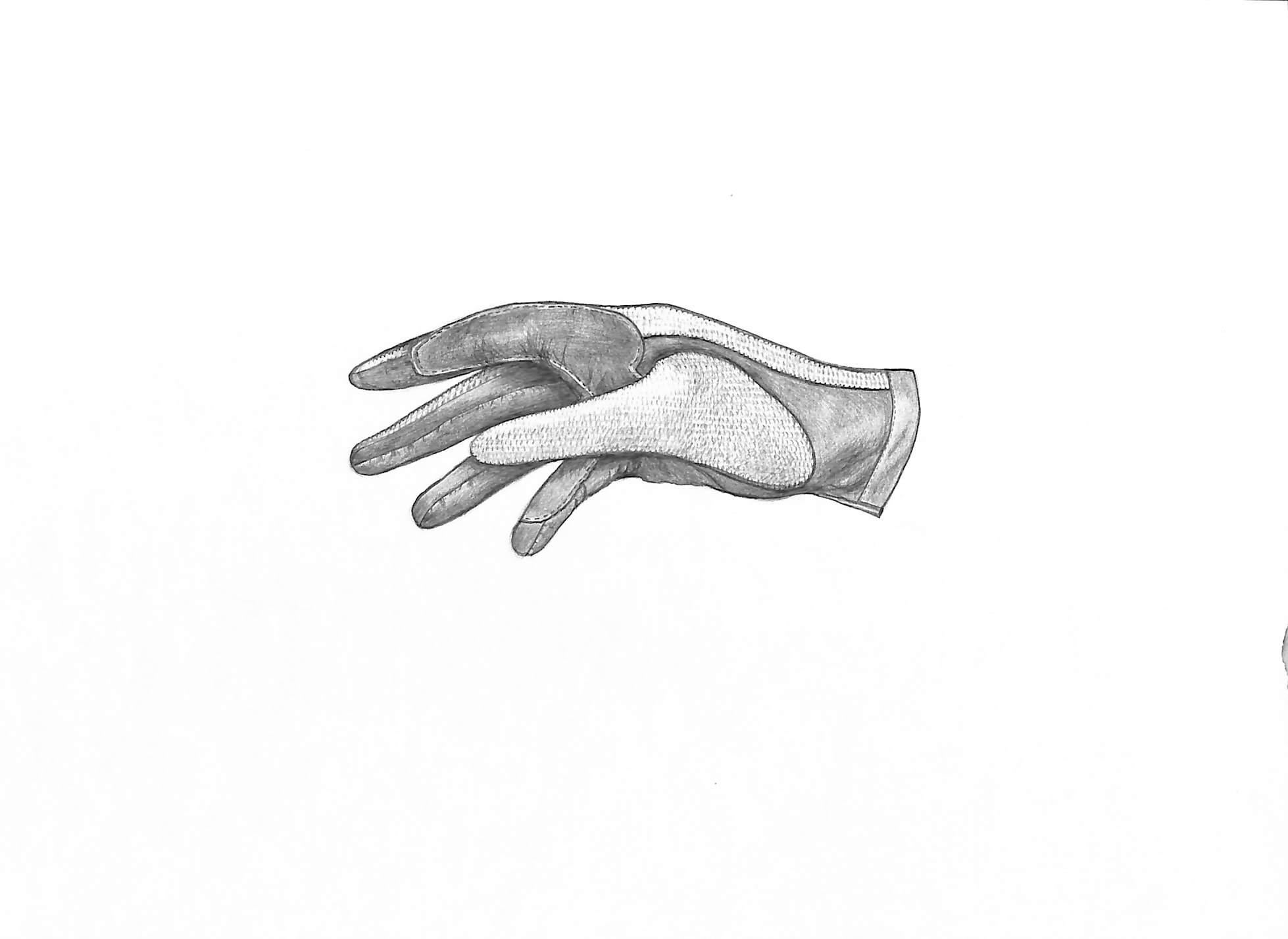 Thornhill Brown Glove Graphite Drawing - Art by Unknown