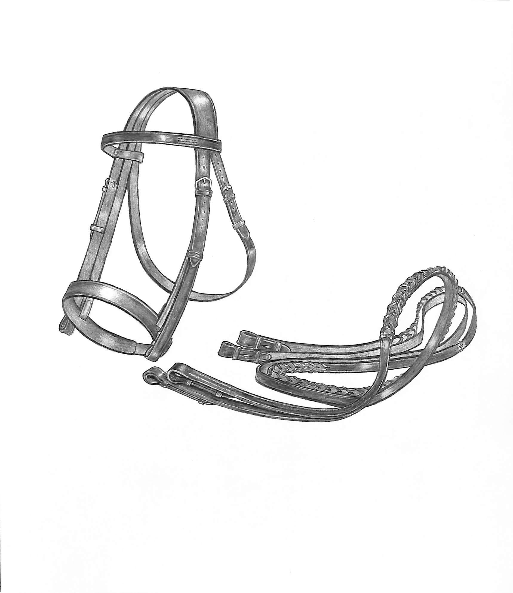 Briglia di caccia 1998 Disegno in grafite