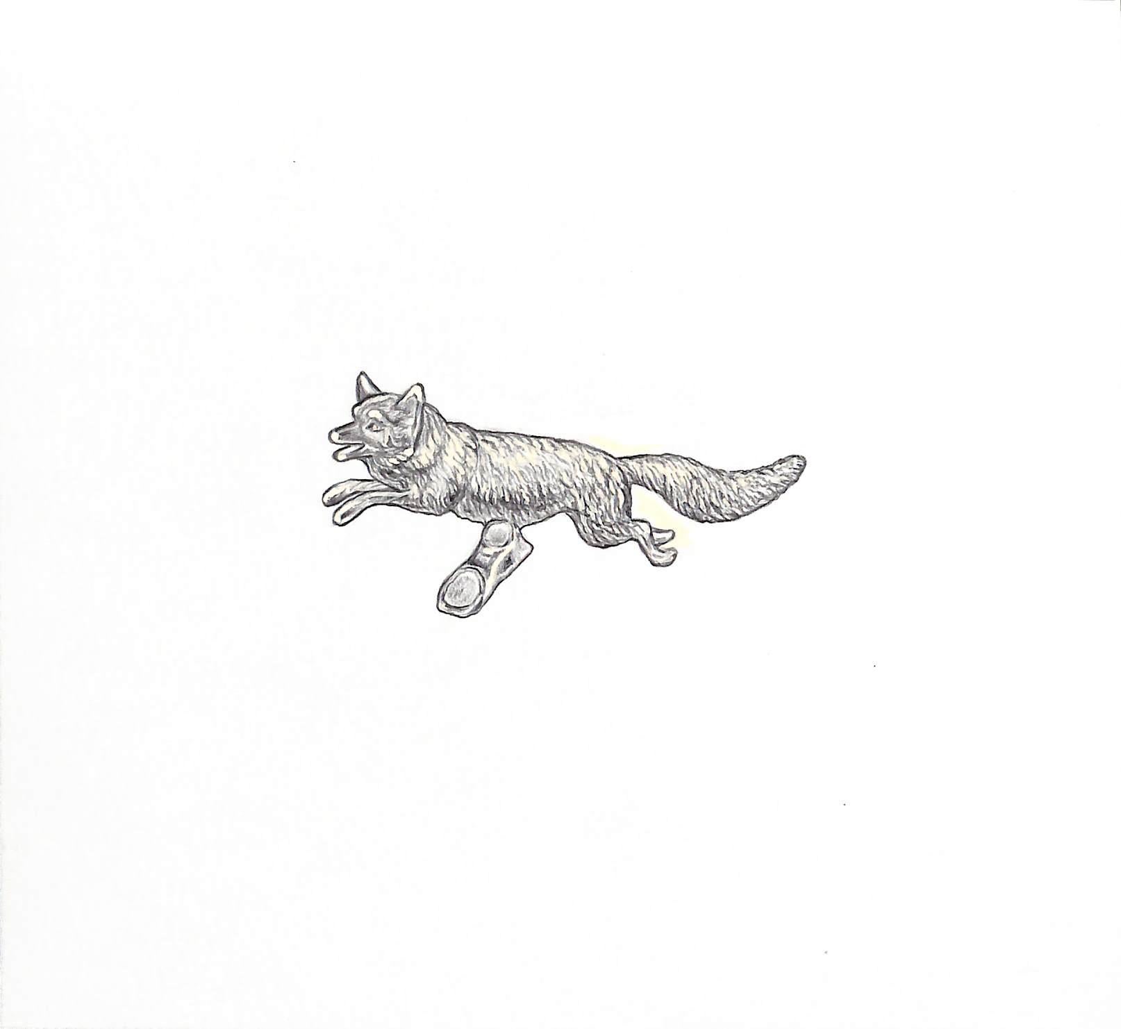 Silver Fox Car Mascot Graphite Drawing - Art by Unknown