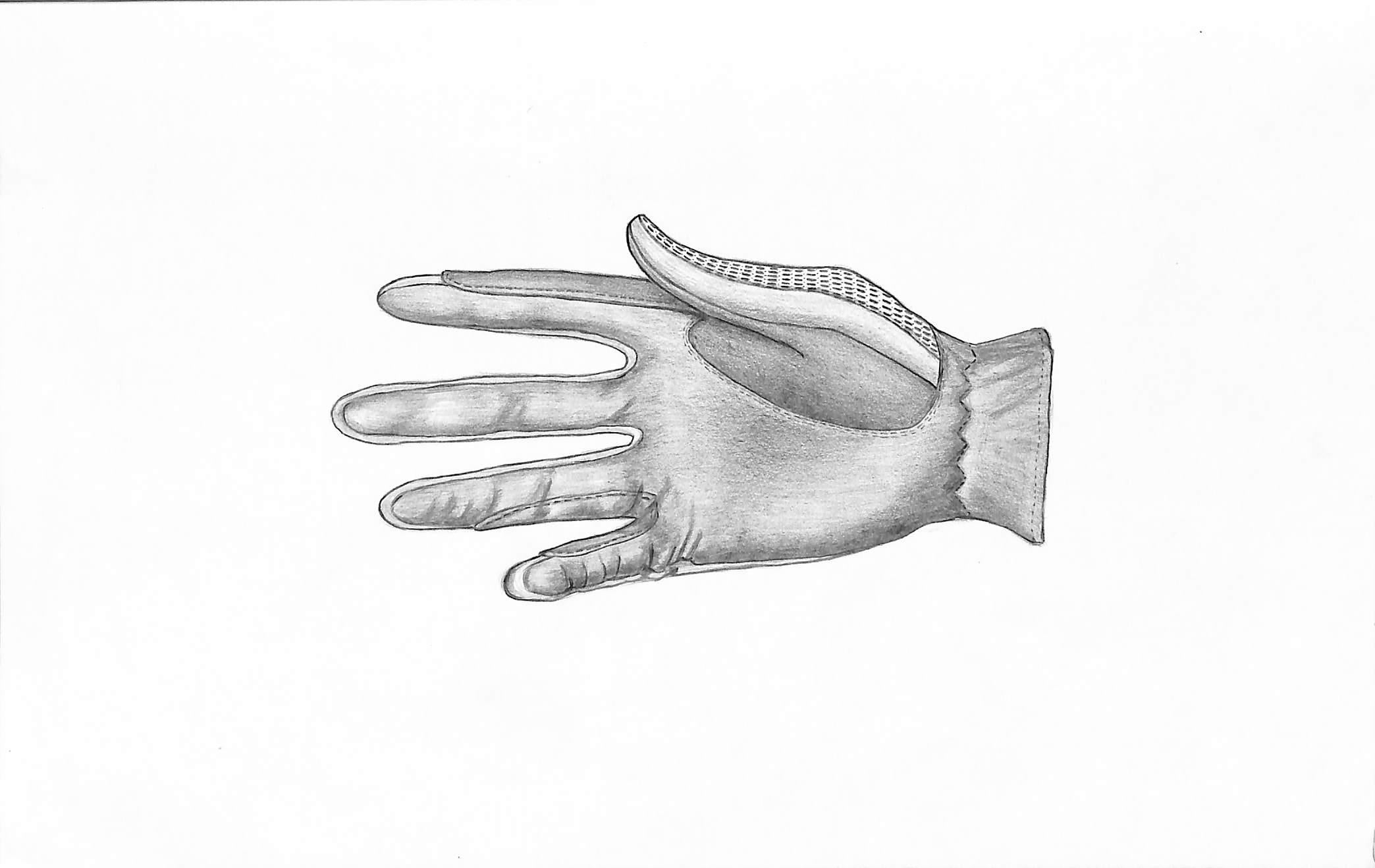 Crochet Back Glove Graphite Drawing - Art by Unknown
