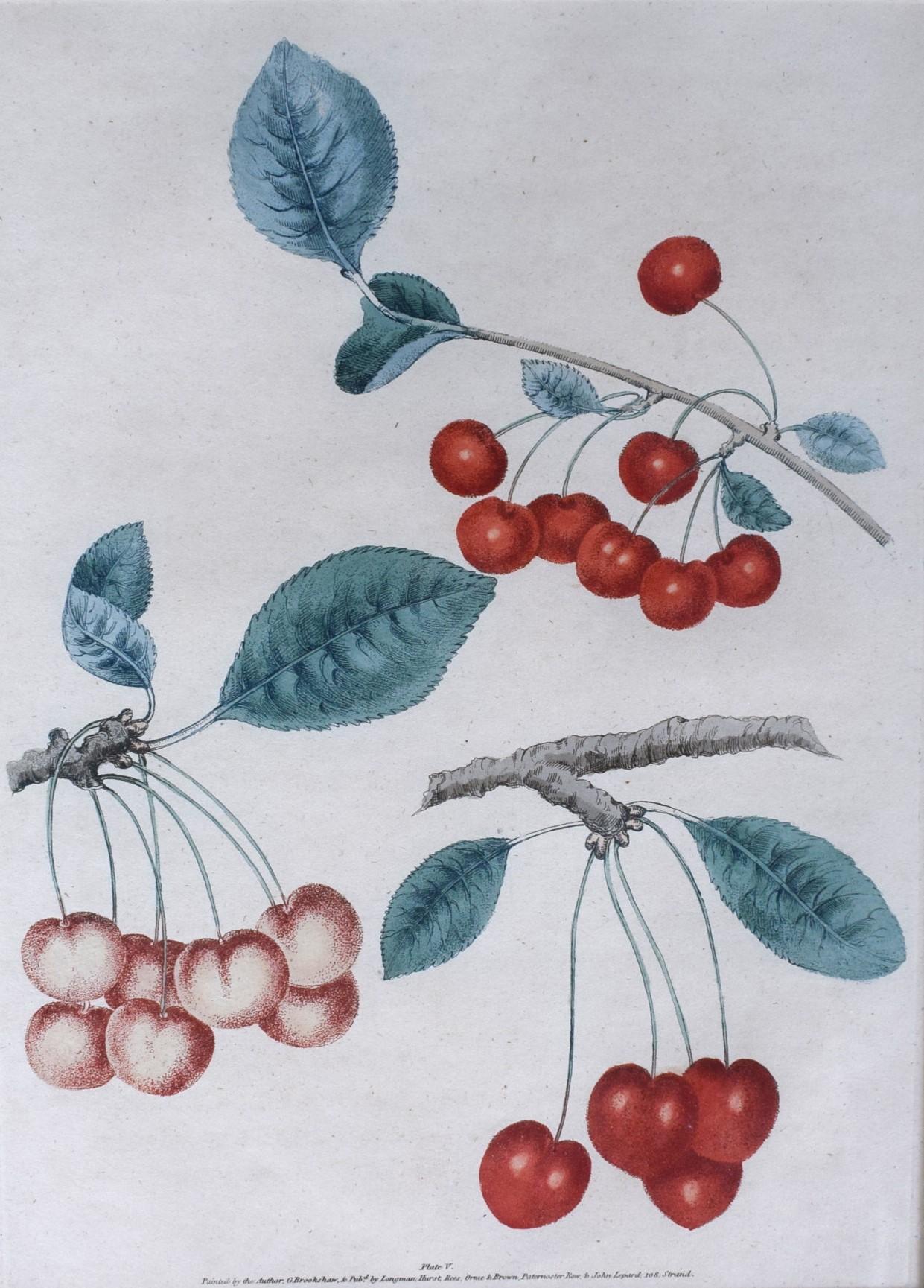 George Brookshaw (1751-1823), Cherry Cluster, PL V For Sale 1