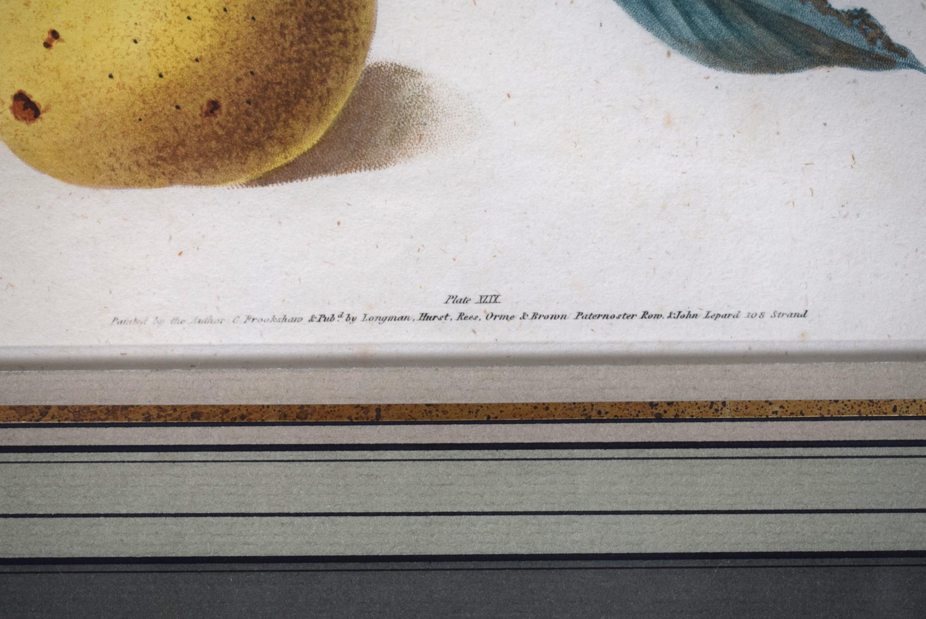 George Brookshaw (1751-1823), Birnen-Cluster, PL XLIX im Angebot 2
