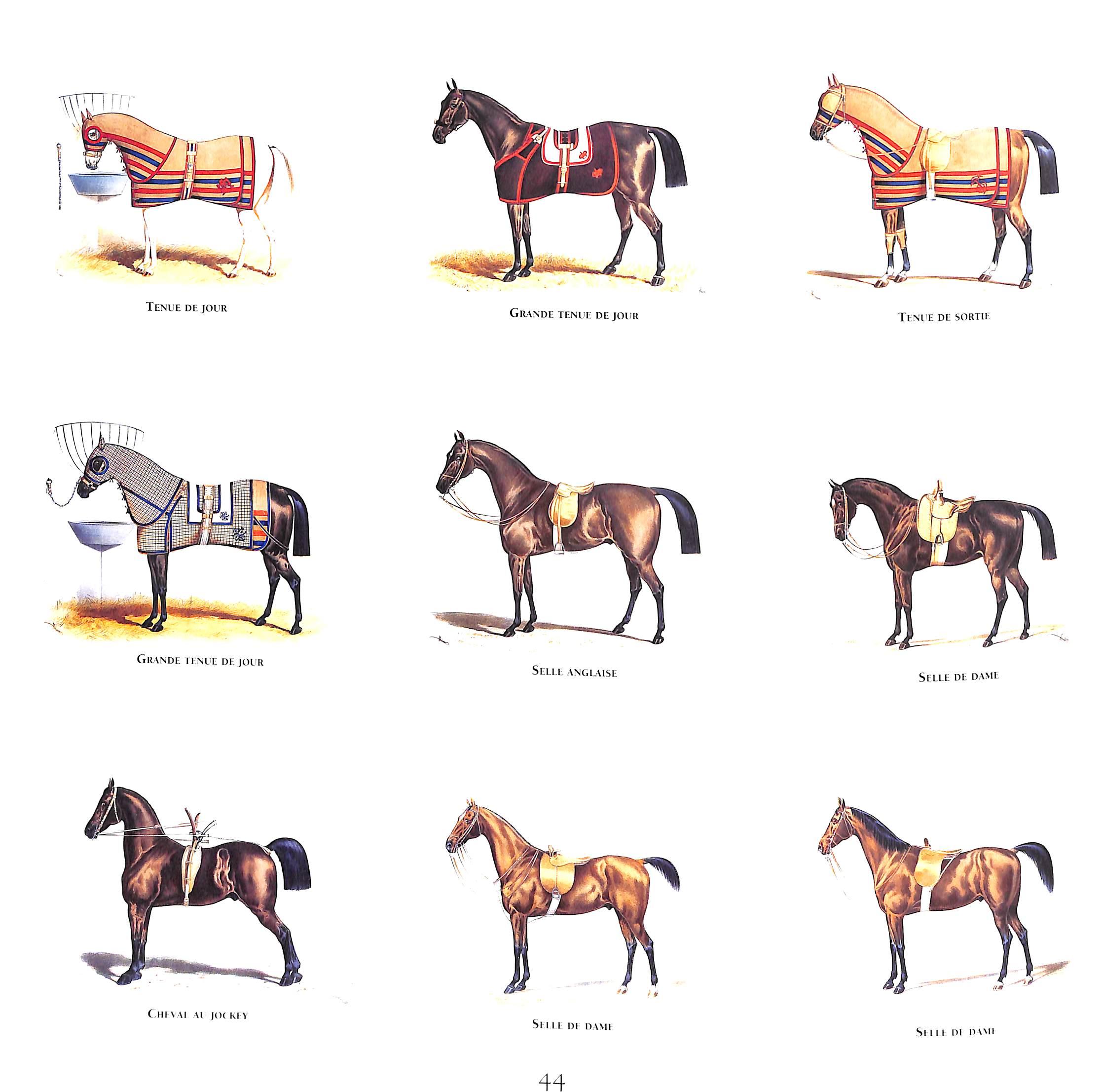 « La Selle Hermes » 1993 BIRNBAUM, Michel [éditeur] en vente 1
