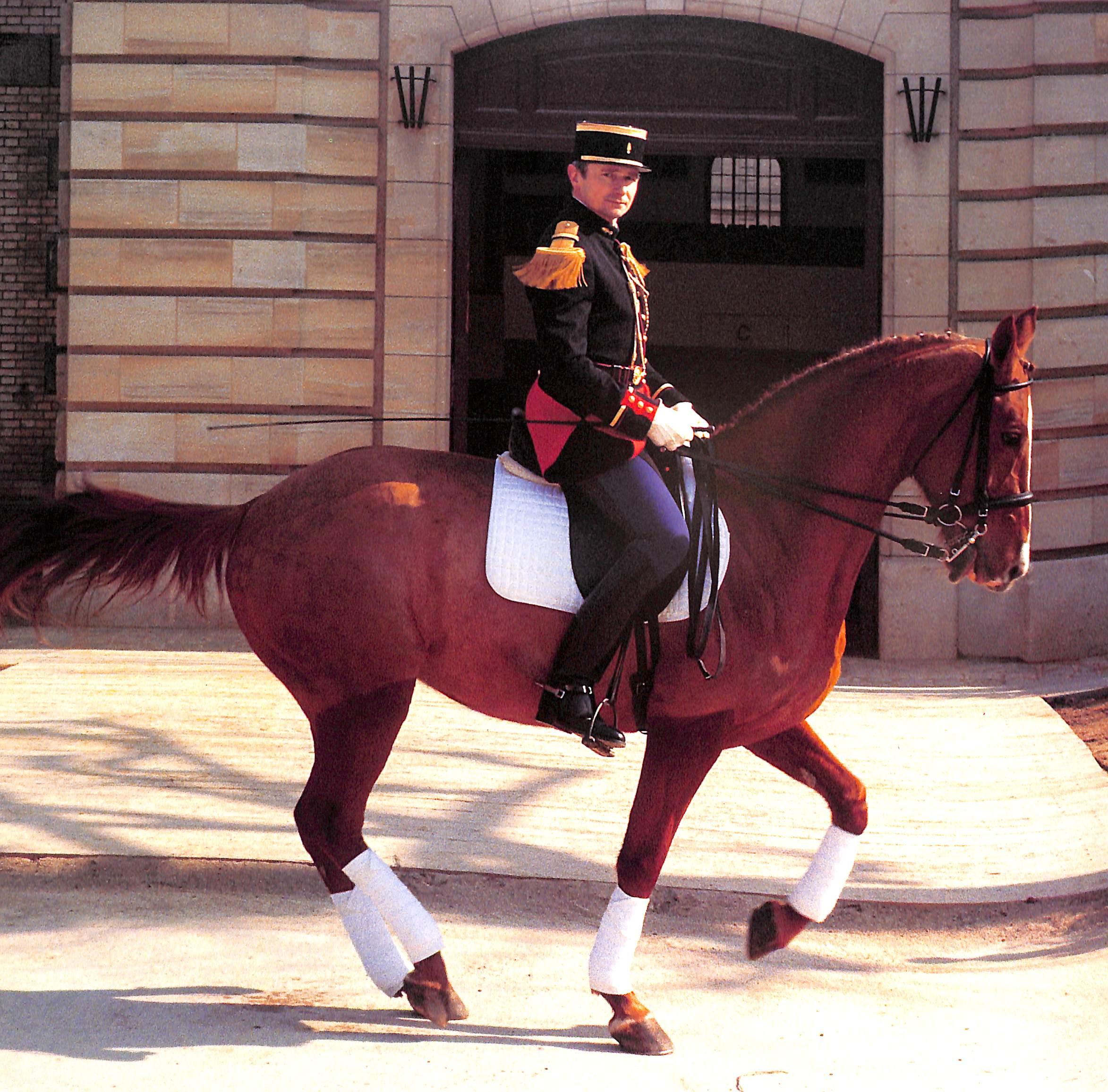 « La Selle Hermes » 1993 BIRNBAUM, Michel [éditeur] en vente 9