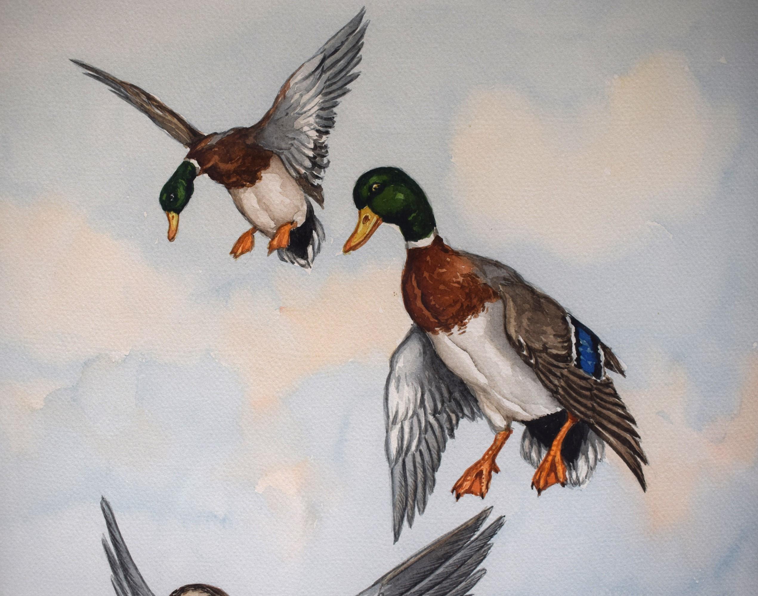 Aquarelle 3 canards en vol de Jean Herblet Ex- C.Z. The Collective en vente 4