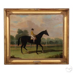 Disegni su tela e dipinti ad acquerello