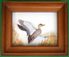 Abercrombie & Fitch x Joseph Q. Whipple Canvas-Back Duck Diorama