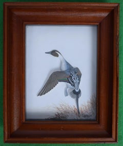 Abercrombie & Fitch x Joseph Q. Whipple Hand Painted Pintail Duck Shadowbox