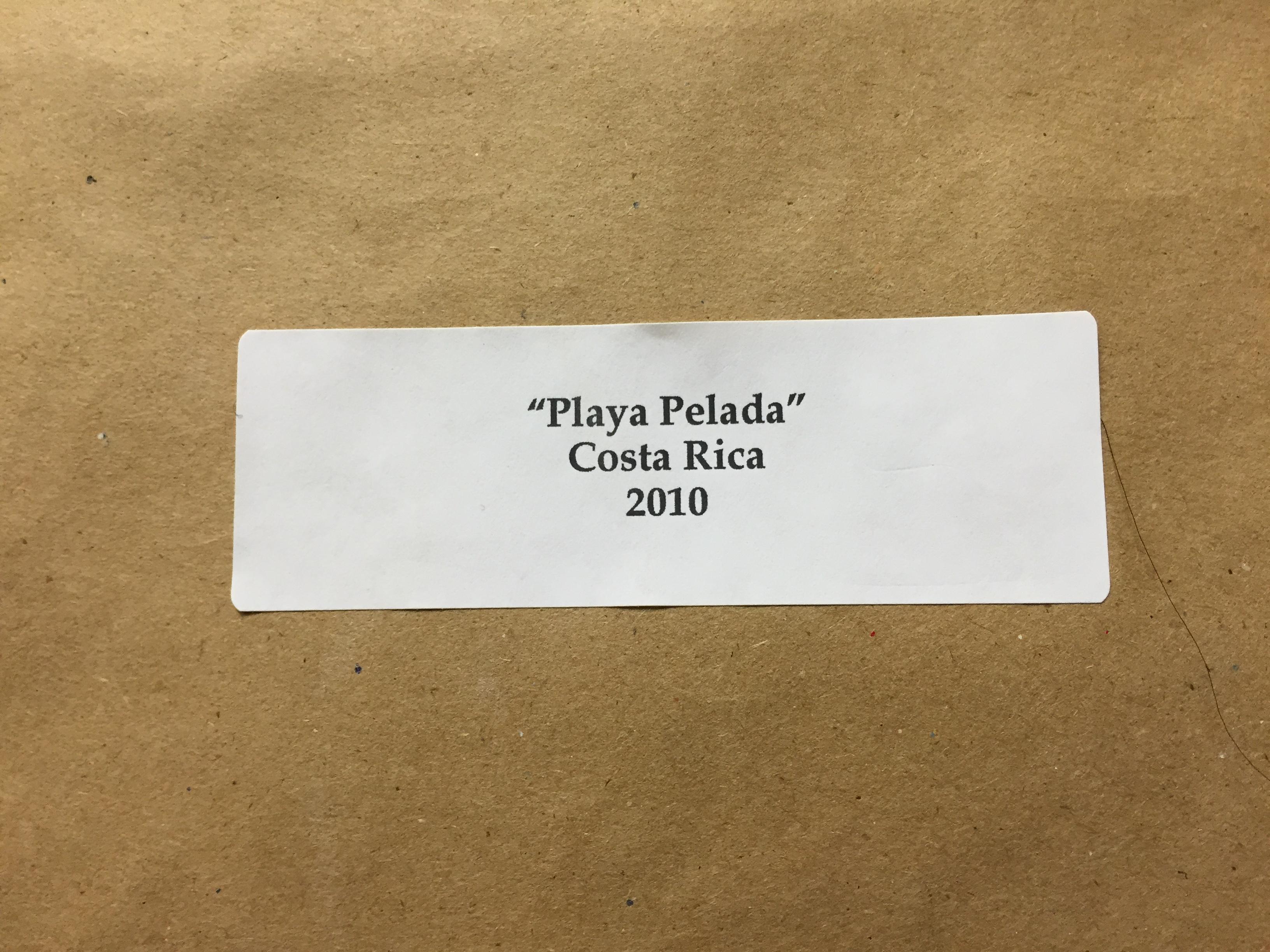 „Playa Pelada Costa Rica“ 2010 Ölgemälde auf Leinwand von F.A. Cushing im Angebot 1