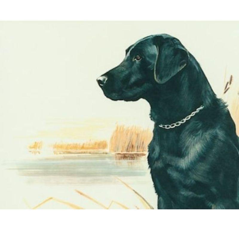 watercolor black lab