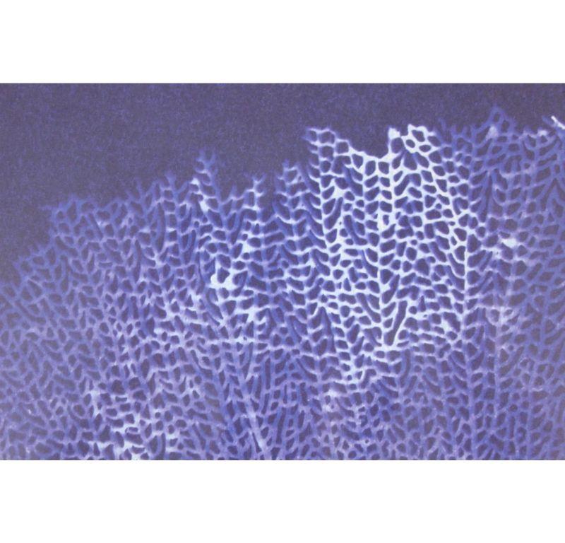 Écran bleu corail avec cadre en bambou doré en vente 1