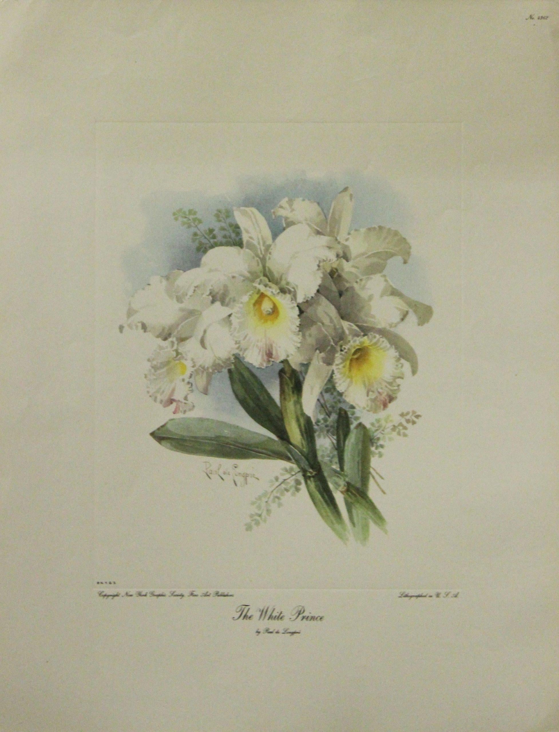 Still-Life Print di Paul de Longpre - Il principe-poster bianco. New York Graphic Society. Litografato negli Stati Uniti