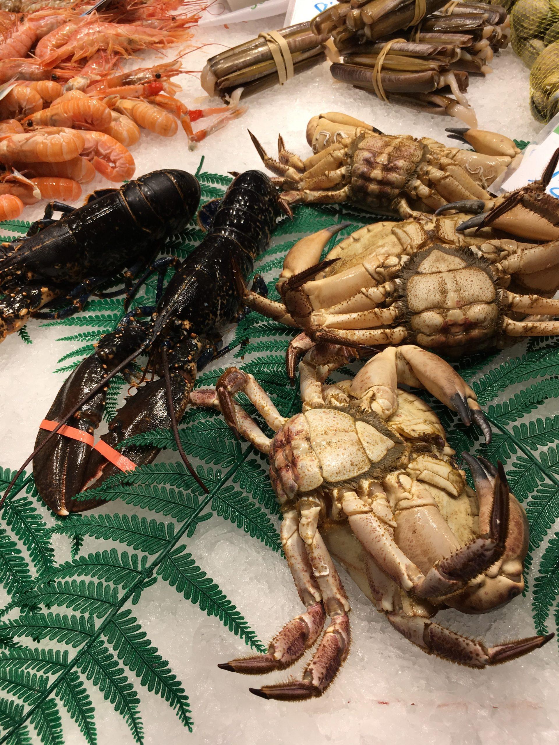 Deborah Benedic Still-Life Photograph - Photograph-Seafood, Barcelona 2019