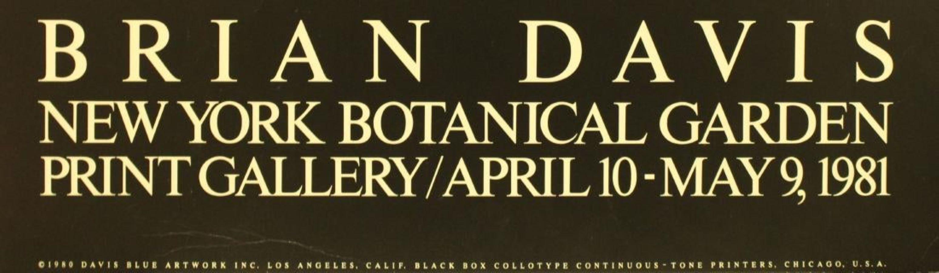 new york botanical garden prints