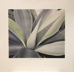 Poster-The Nature Company/Wrubel Gallery