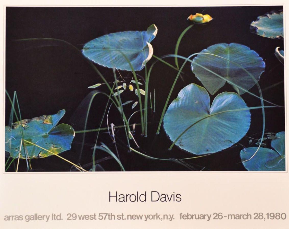Harold Davis Print - Poster-Arras Gallery ltd. NYC, February 26-March 28, 1980