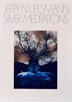 Poster-Silber Meditationen, aus dem Buch Silber Meditationen