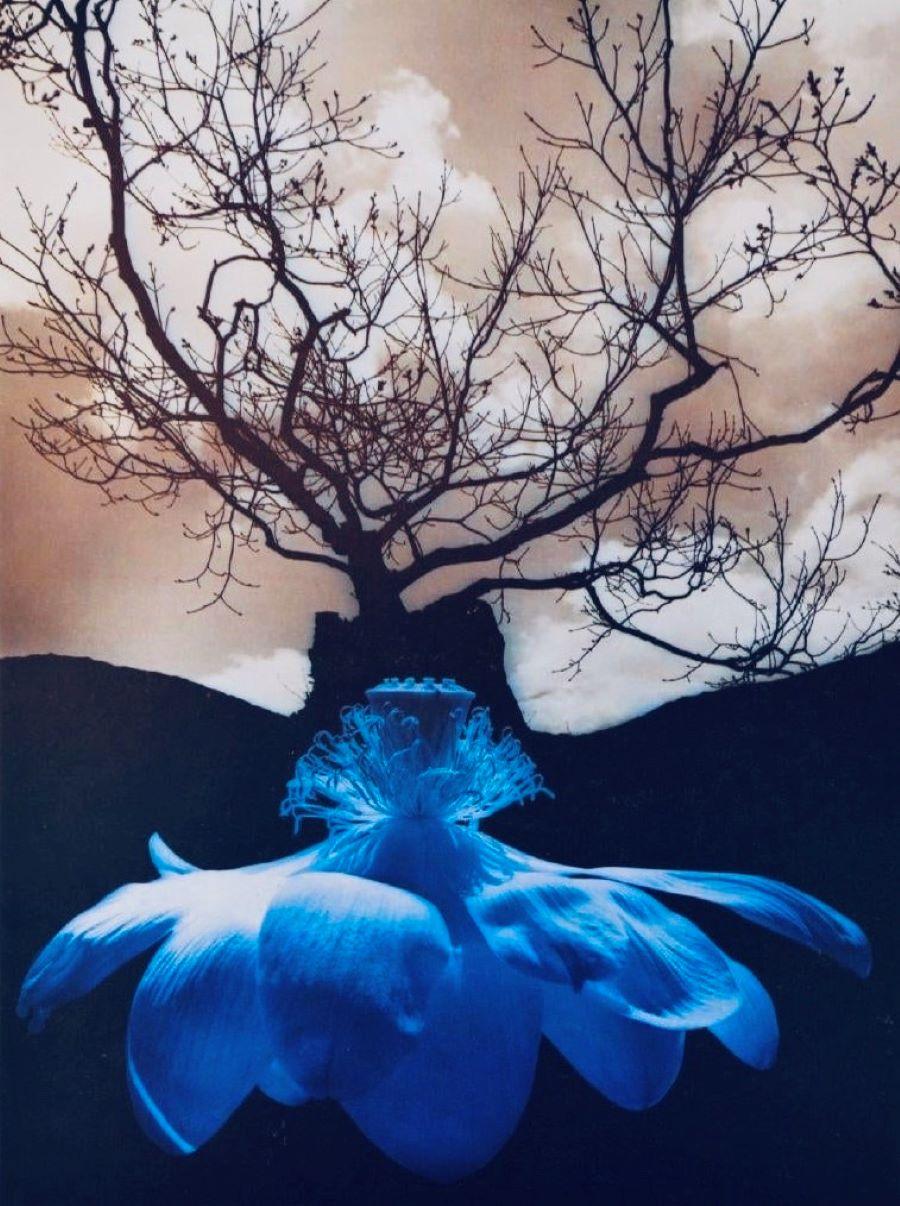 Poster-Méditations d'argent, extrait du livre Méditations d'argent - Print de Jerry N. Uelsmann