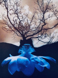 Poster-Silver Meditations, from the book Silver Meditations