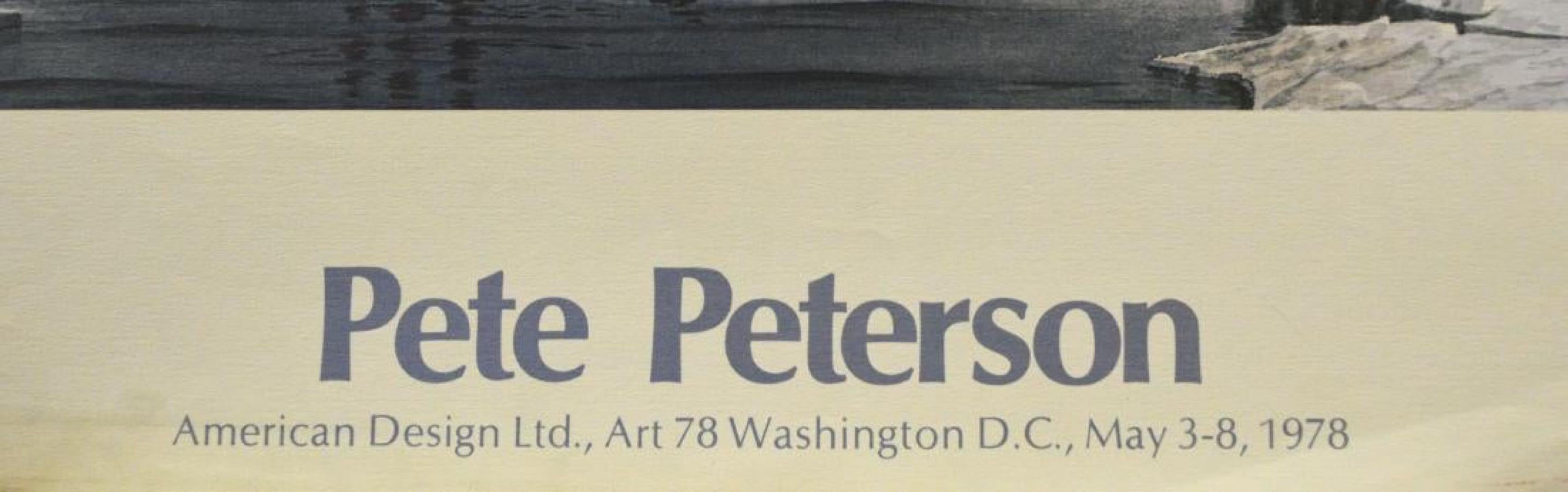 Poster-American Designed ltd, Washington, D.C. 3-8 maggio 1978 - Print di Pete Peterson