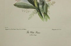 The White Prince-Poster. New York Graphic Society. Lithographed in USA