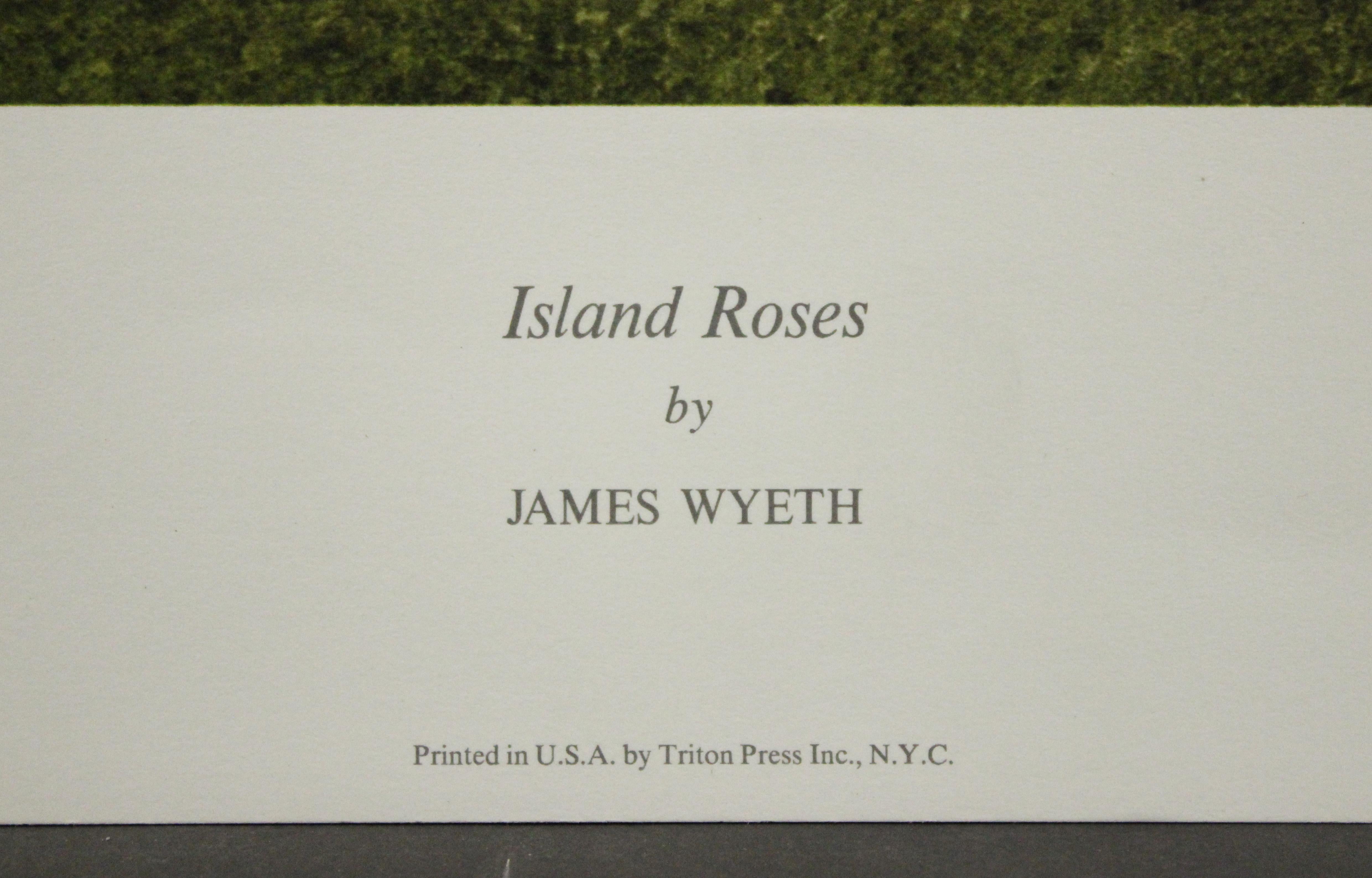 Affiche des roses de l'île. la New York Graphic Society Ltd.  - Print de James Wyeth 