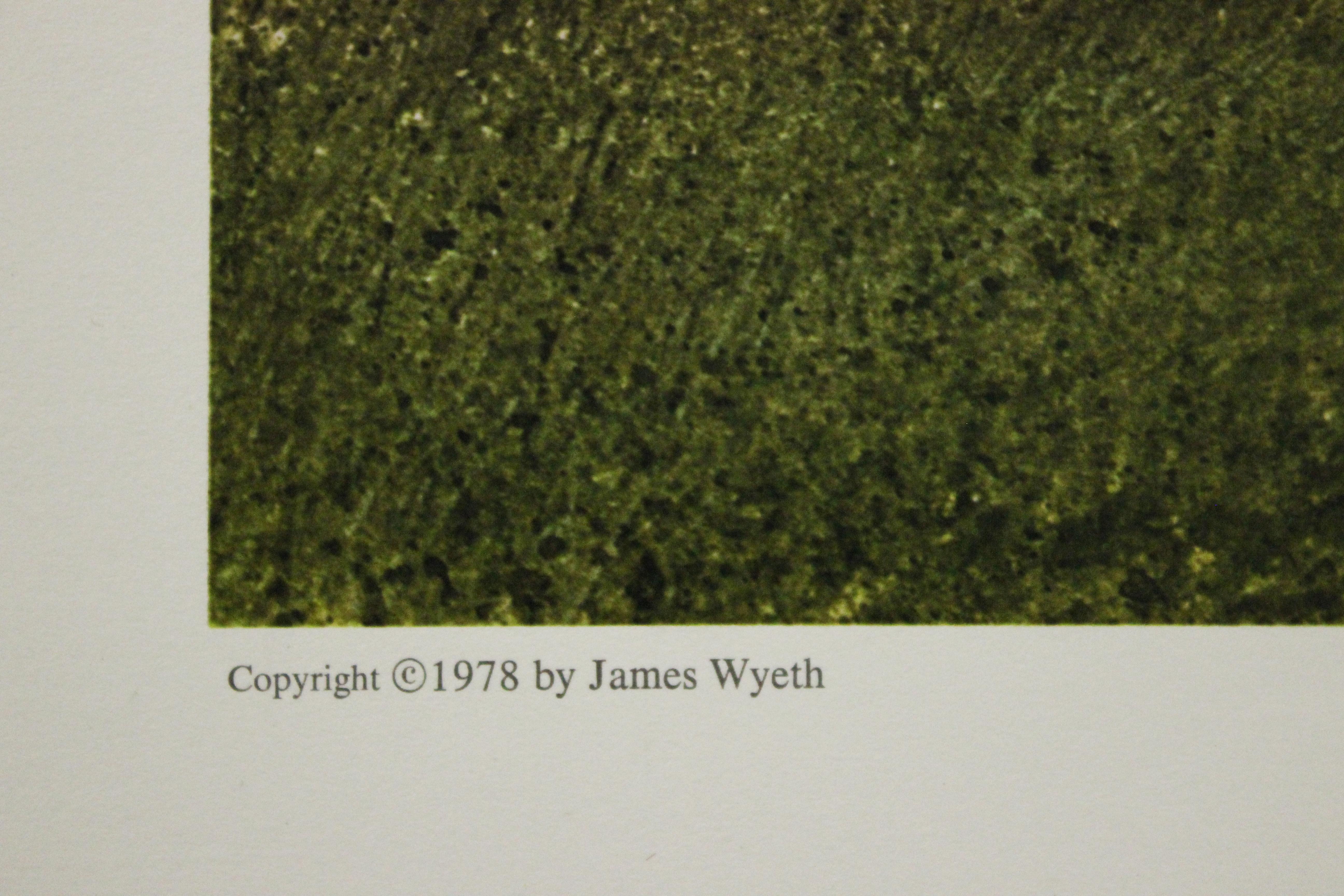 Affiche des roses de l'île. la New York Graphic Society Ltd.  - Gris Landscape Print par James Wyeth 