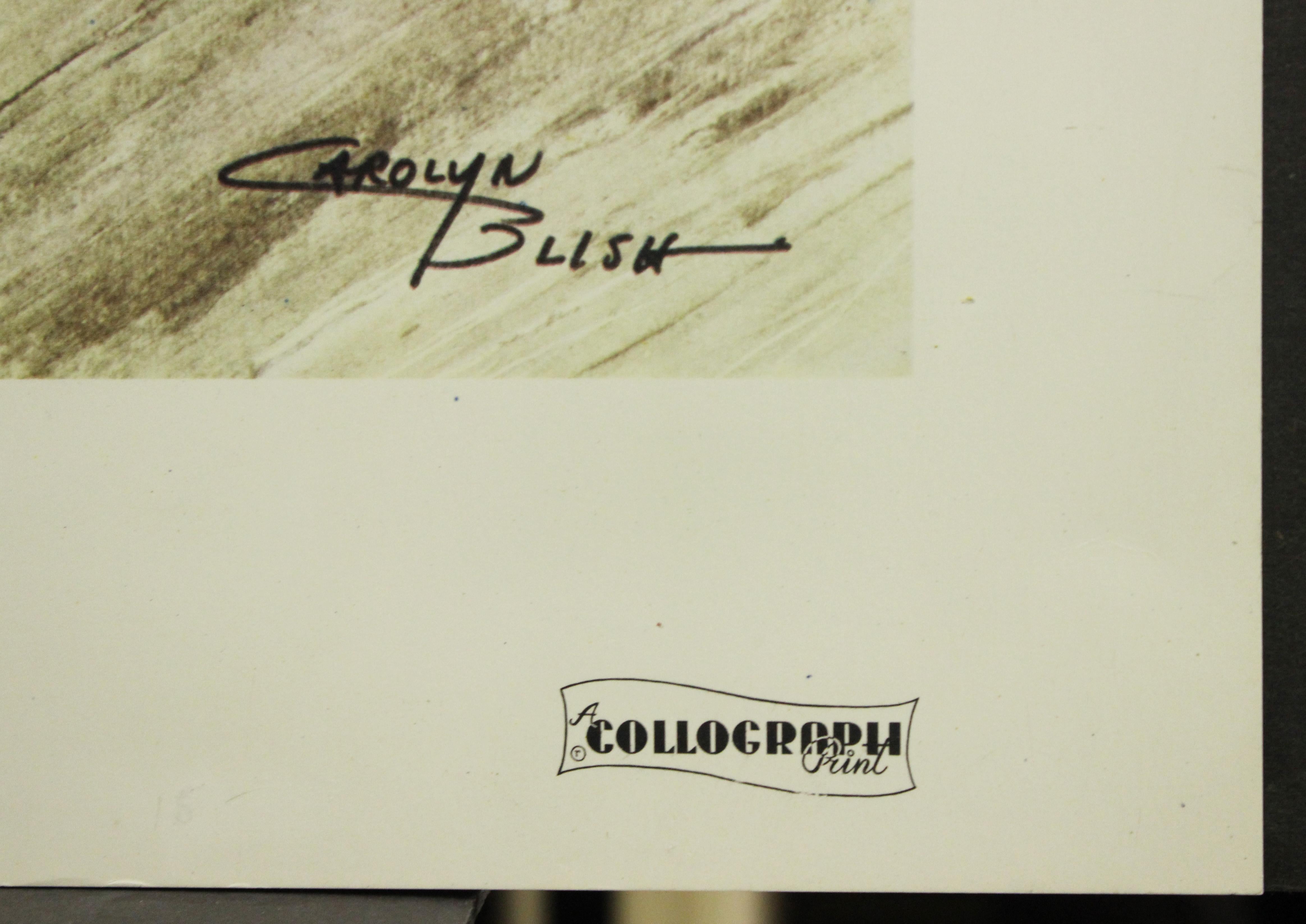 carolyn blish prints