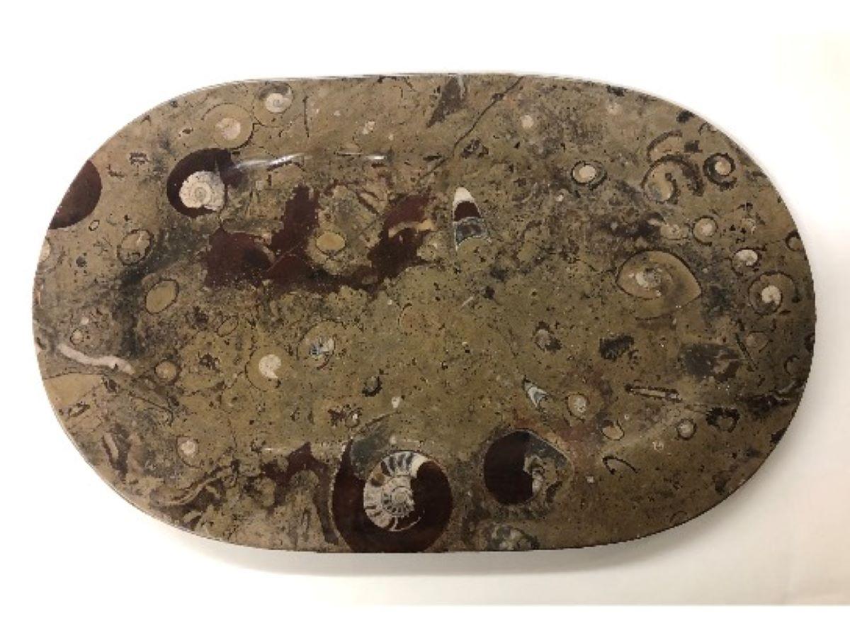Brown Fossil Platter - Art by Unknown