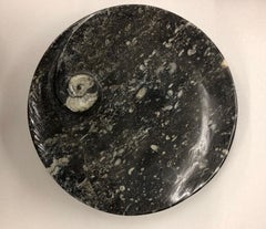 Fossil Platter with Shell