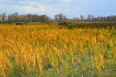 Die Bales of Oktober-Fotografie