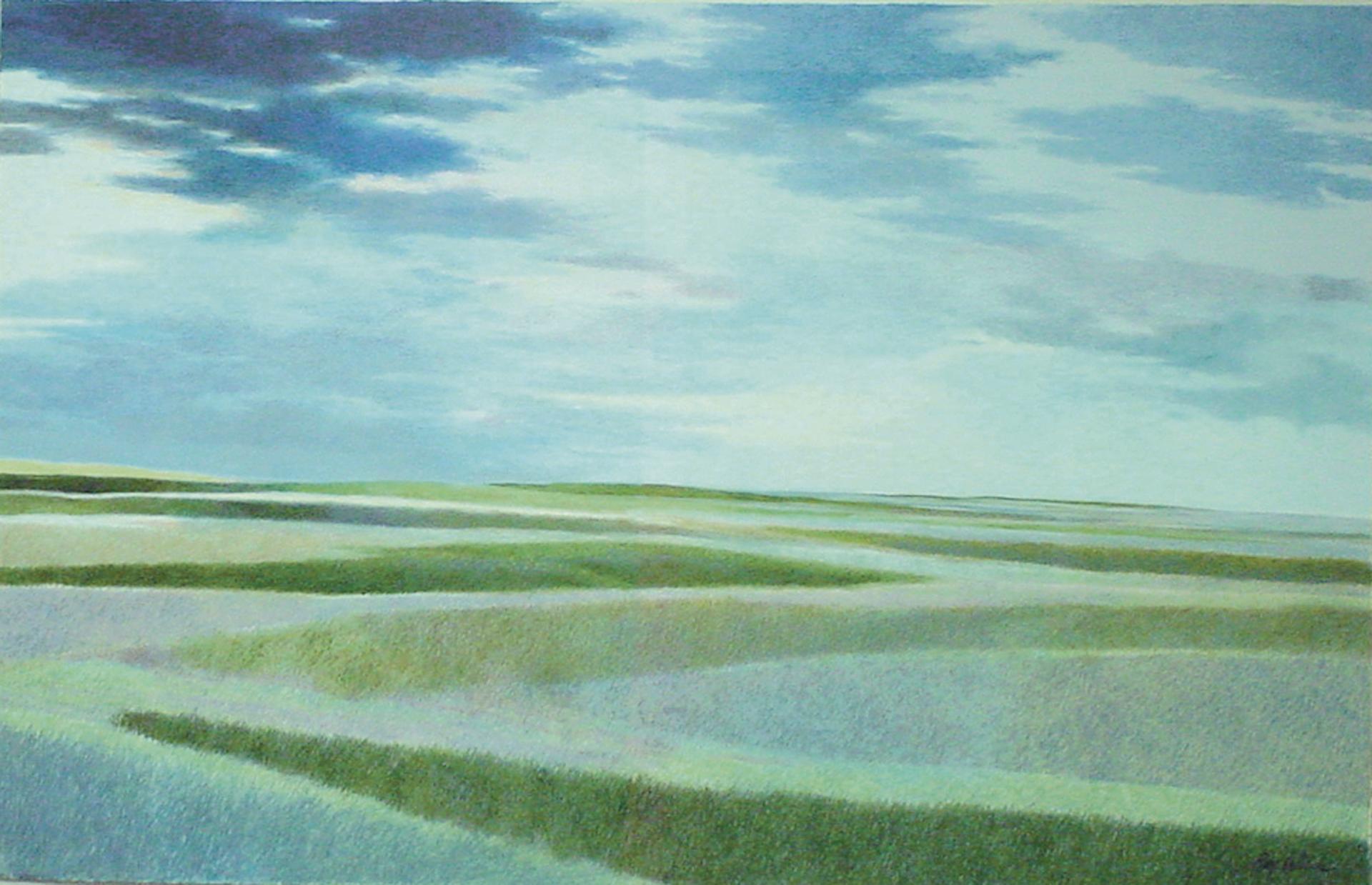 Claro y ancho, pastel al óleo enmarcado, 32x46