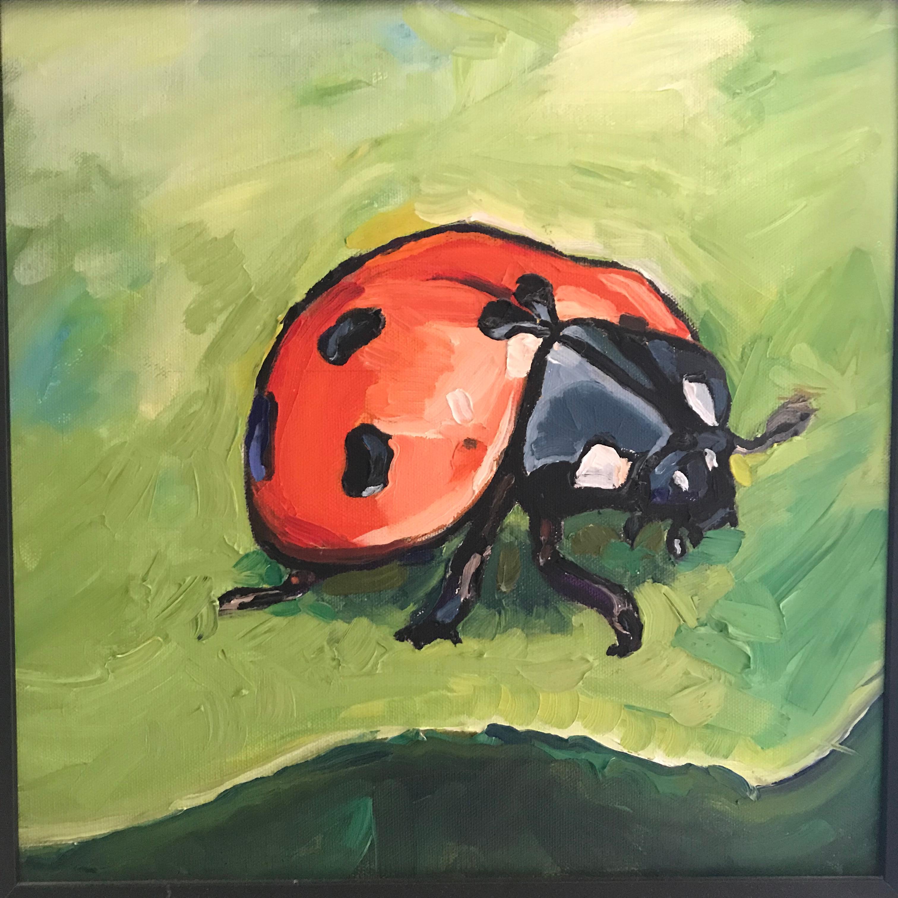 Mariquita, 12x12