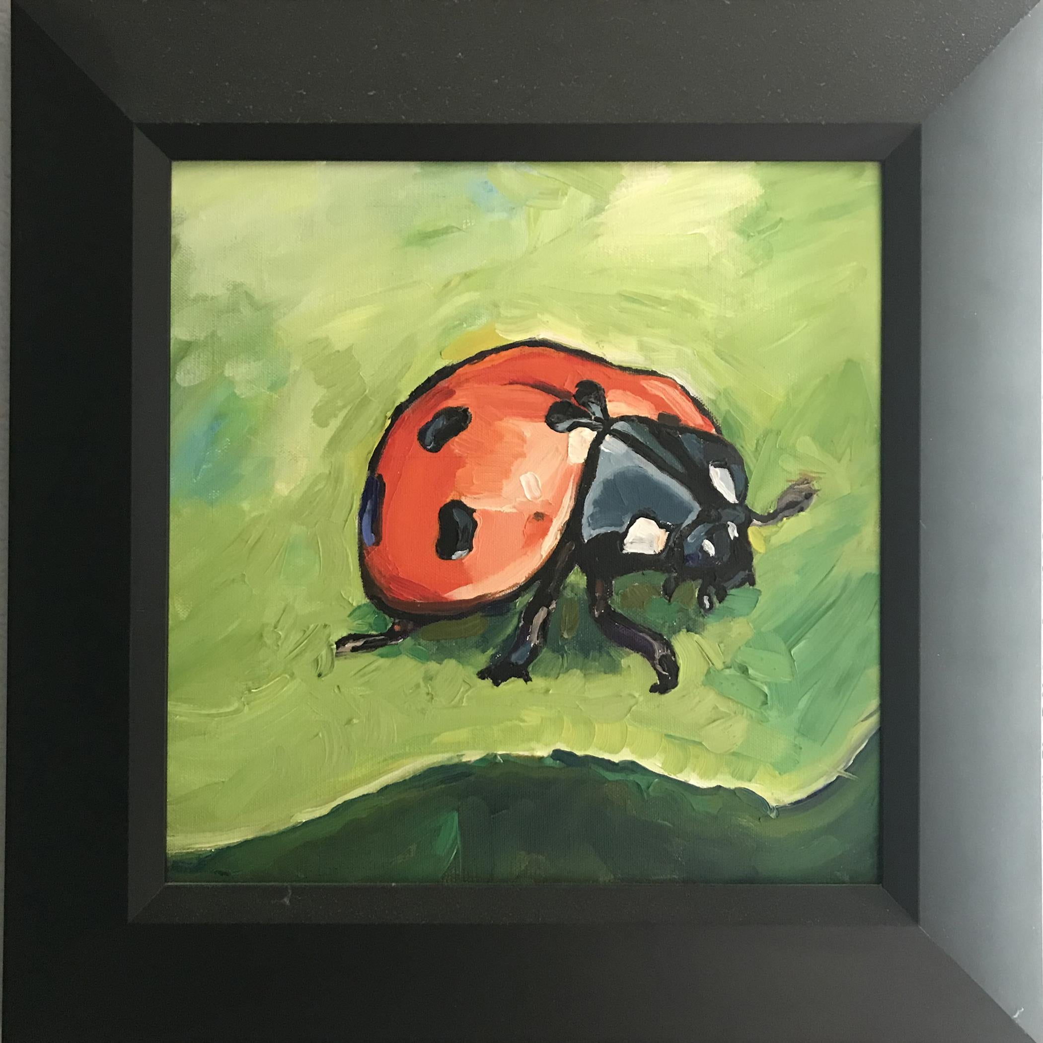 Coccinella, dipinto acrilico 12x12