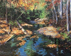 Autrey Mill Creek - Georgia