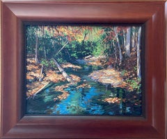 Autrey Mill Creek - Georgia