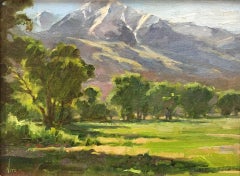 Mt. Blanca