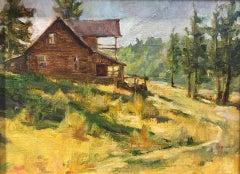 Mountain Cabin