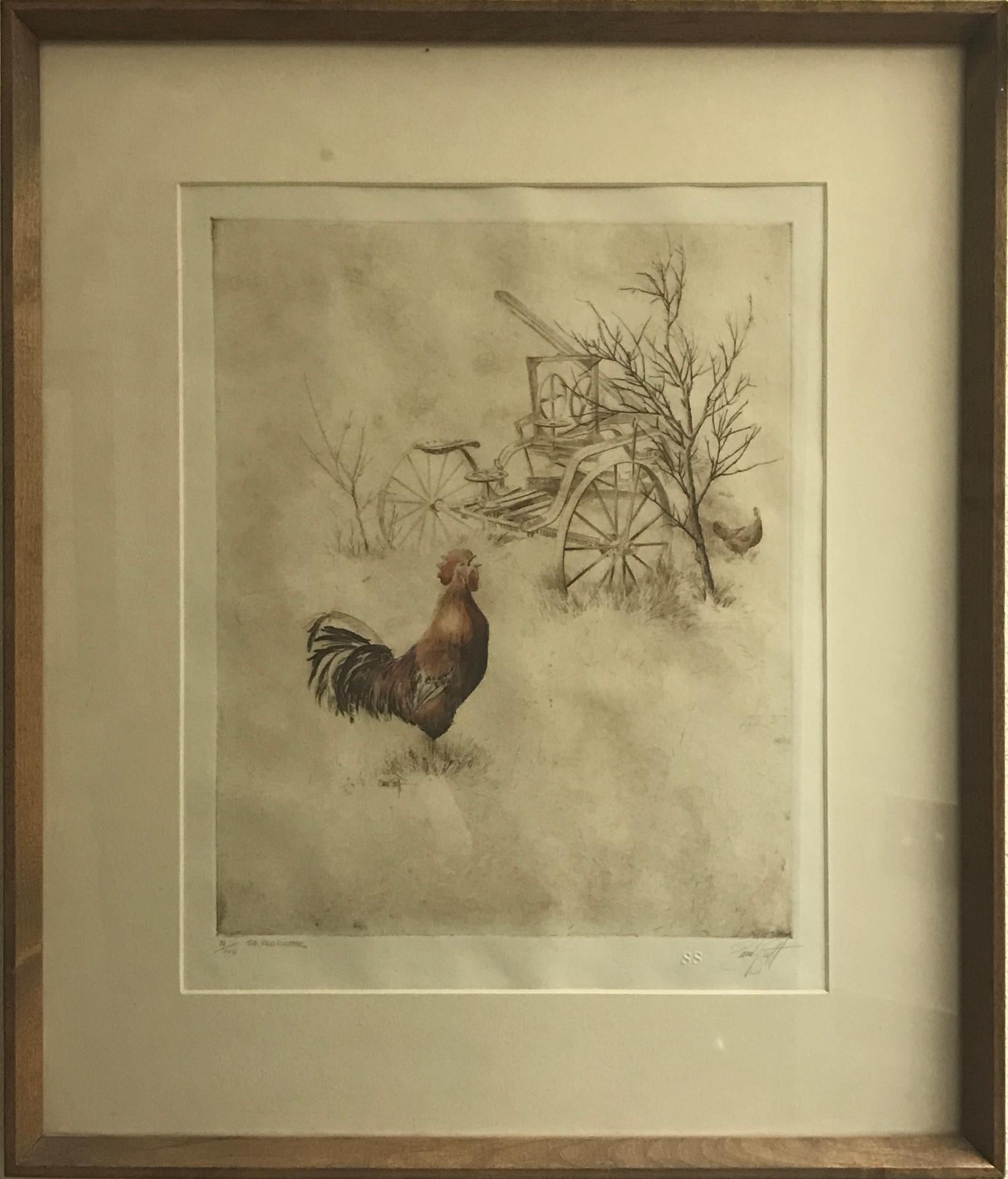 Red Rooster For Sale 1