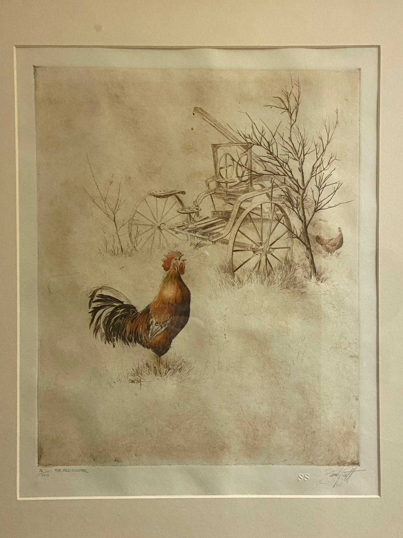Red Rooster by Sandy Scott
Wildlife Hand-colored Etching
14x11