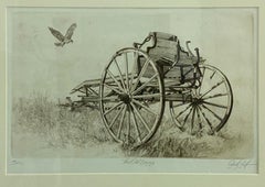 The Old Buggy