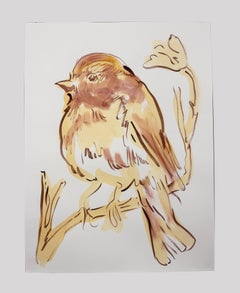 Coro del amanecer nº 26