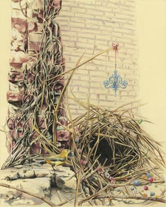 A Structure, 2017, bower bird, nature, animal, pattern, drawing, framed