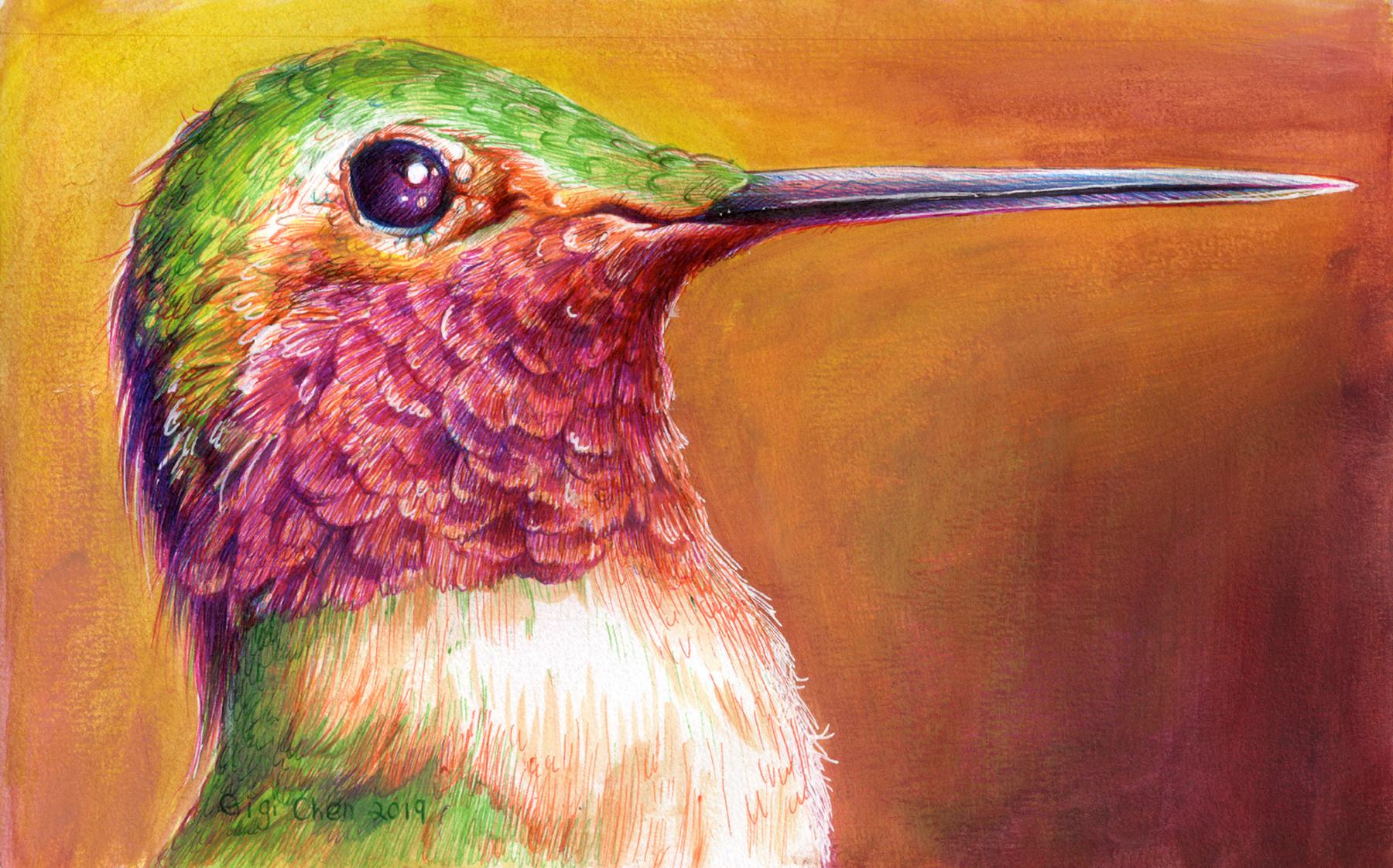 Green Hummingbird, 2019, nature, animal, drawing - Mixed Media Art by Gigi Chen